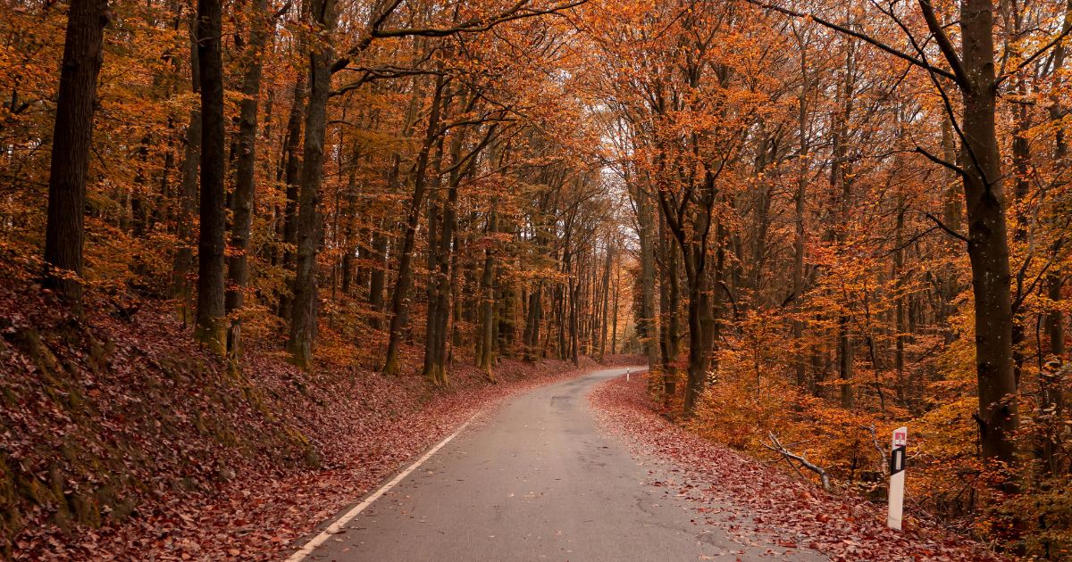 Polska po sezonie – 7 pomysłów na magiczne jesienne i zimowe wyprawy